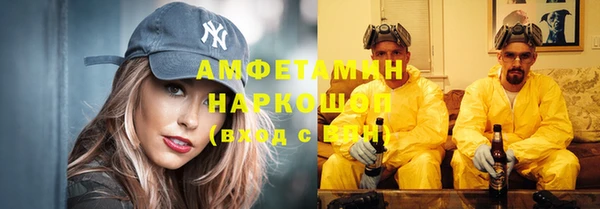 стаф Алзамай