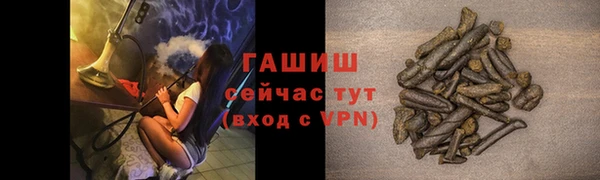 стаф Алзамай