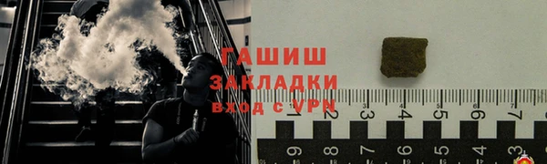 стаф Алзамай