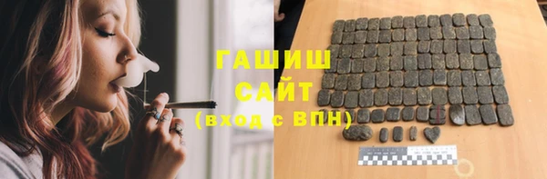 стаф Алзамай