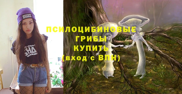 ECSTASY Алексеевка