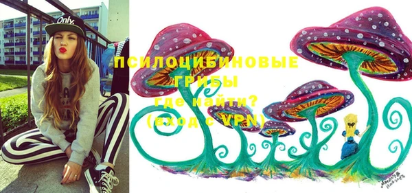 ECSTASY Алексеевка