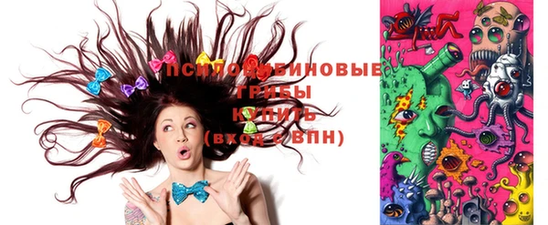 ECSTASY Алексеевка