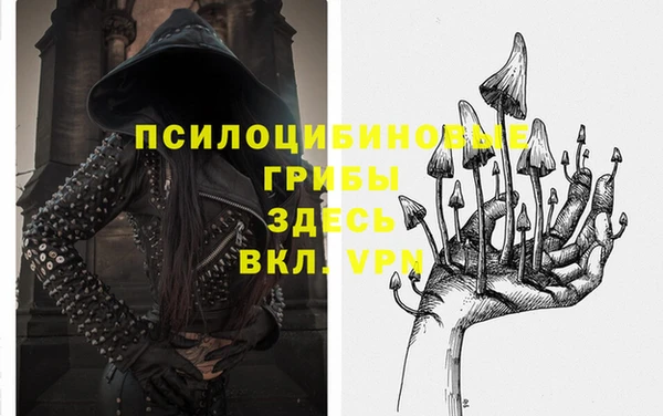 стаф Алзамай
