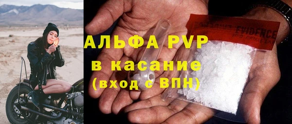 стаф Алзамай