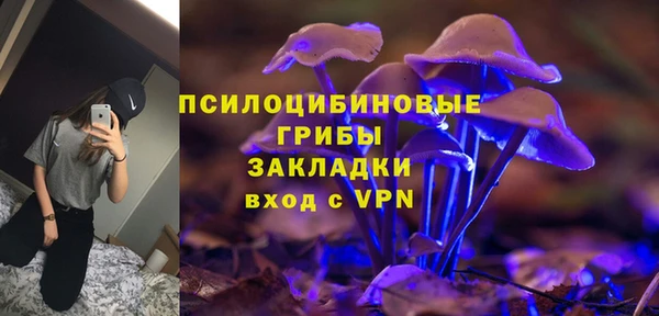 ECSTASY Алексеевка