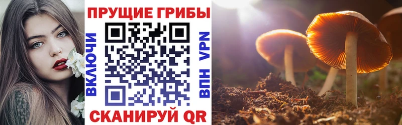 Галлюциногенные грибы мицелий  Зуевка 